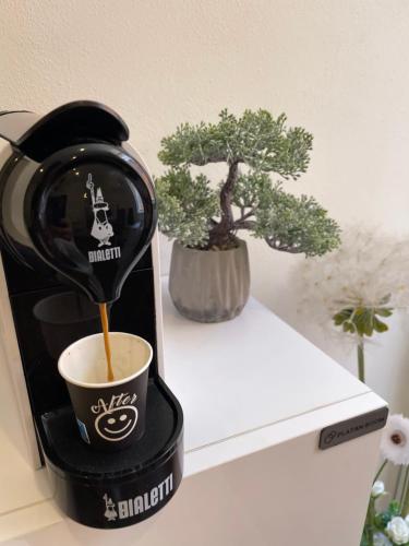 a coffee machine sitting on a counter with a plant at Luxury 3 al duomo di parma in Parma
