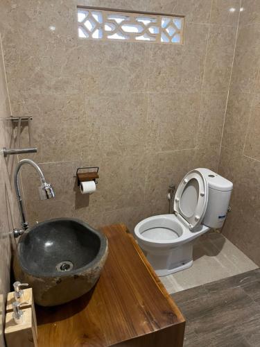 a bathroom with a sink and a toilet in it at Ananda House in Ubud