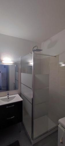 une salle de bain avec un lavabo et une douche dans l'établissement Appartement 2 pièces de plein pied au coeur du village a deux pas de la plage avec extérieur et parking prive, à Saint-Georges-de-Didonne