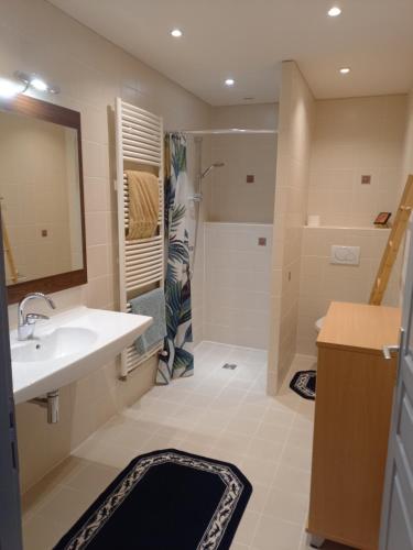 une salle de bain avec un lavabo et une douche dans l'établissement Sous Le Tilleul, à Sénaillac-Latronquière