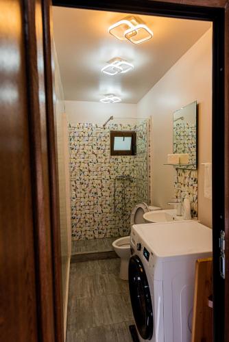 a bathroom with a toilet and a sink at iVAVev IS US ByTheSea EforieSud in Eforie Sud