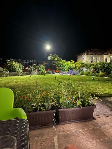a yard at night with two large pots of flowers at Комплекс Радост in Ezerets