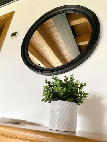 a plant sitting on a counter in front of a mirror at Cal Rufiandis in Ger