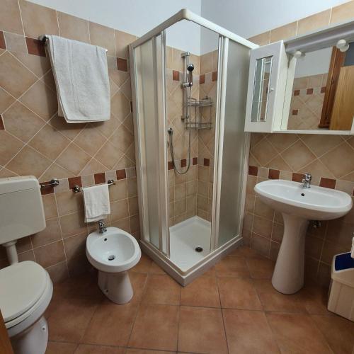 a bathroom with a shower and a toilet and a sink at Al Mulino di Sant'Eufemia in La Strada