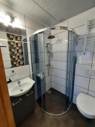 a bathroom with a shower and a sink and a toilet at Apartamenty Pokoje Lawenda Wisła in Wisła