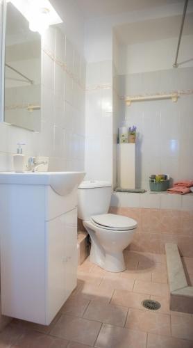 a white bathroom with a toilet and a sink at Mikros Paradisos Pelion in Áyios Vlásios