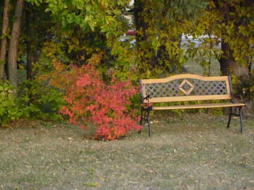Maple Leaf Motel Emerson – Photos 4