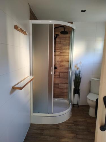 a shower with a glass door in a bathroom at Domek Pocieszna Podkowa in Rabka-Zdroj