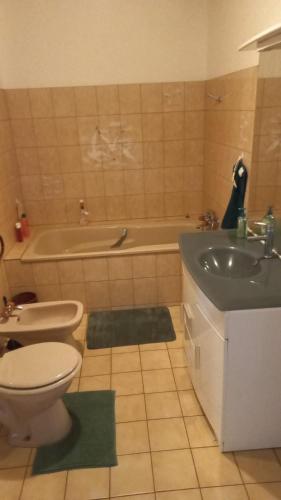 a bathroom with a toilet and a sink and a tub at Maison avec superbe terrasse tropézienne in Adissan