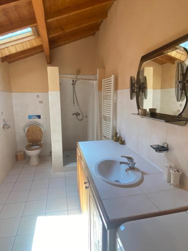 une salle de bain avec un lavabo, une douche et des toilettes dans l'établissement Grand gîte 10-12p à la montagne proche des Ecrins, à Les Achards
