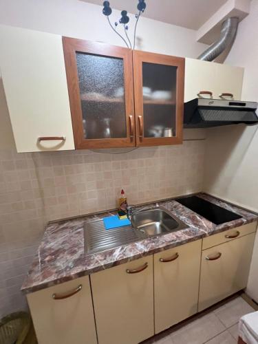 a kitchen with a sink and a counter top at Pansion "Roko" in Drvenik