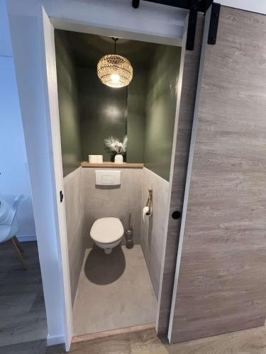 une salle de bain avec toilettes et un lustre dans l'établissement Mylilou location, au Cap d'Agde