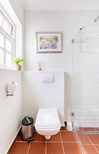 a bathroom with a toilet and a shower at Art House in Stellenbosch