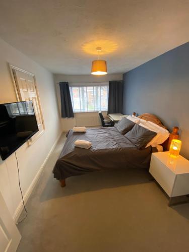 a bedroom with a large bed and a television at Newquay Fistral Holiday home with hot tub in Newquay