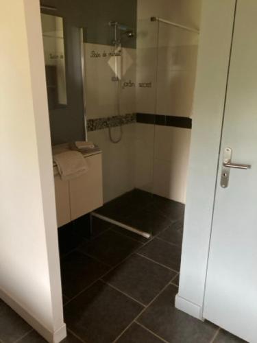 a bathroom with a shower with a glass door at Lodge détente et spa in Le Puley
