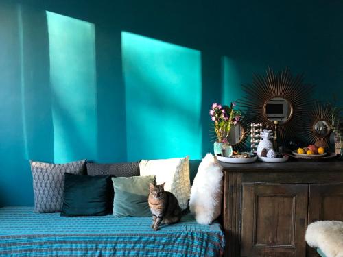 un chat assis sur un lit dans une pièce bleue dans l'établissement Maison avec jardin, à Paris