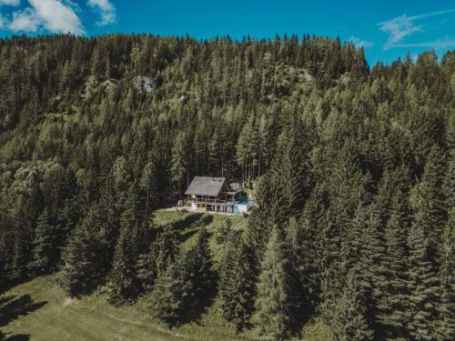 Príroda v okolí horskej chaty
