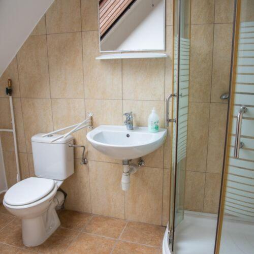 a bathroom with a toilet and a sink and a shower at Hubertus Vadászház in Újudvar