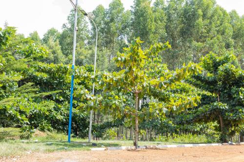 Gallery image of Sun City Hotel & Amuzement Park Soroti in Soroti
