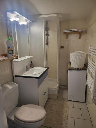 une salle de bain avec toilettes, lavabo et douche dans l'établissement loue Maison plein pied barcares 28 m2, au Barcarès