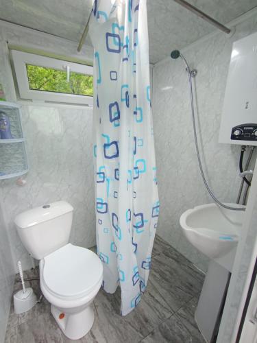 a bathroom with a toilet and a shower curtain at Guest house VL in Alaverdi