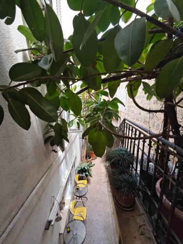a balcony with a bunch of plants and yellow shoes at Beatrix Suites in Budva