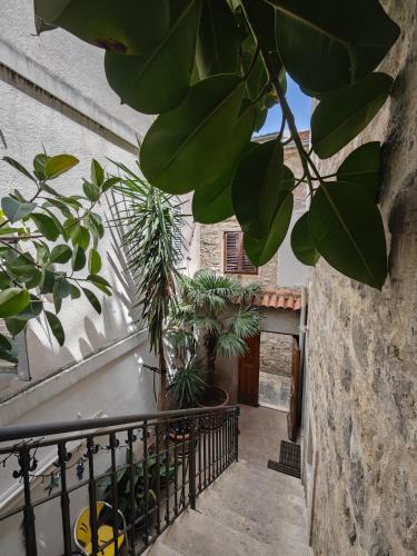 a stairway with a tree in a building at Beatrix Suites in Budva