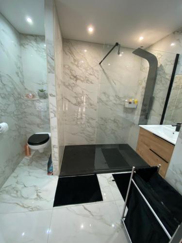 une salle de bain avec douche et toilettes dans l'établissement La Renarde, au Lavandou