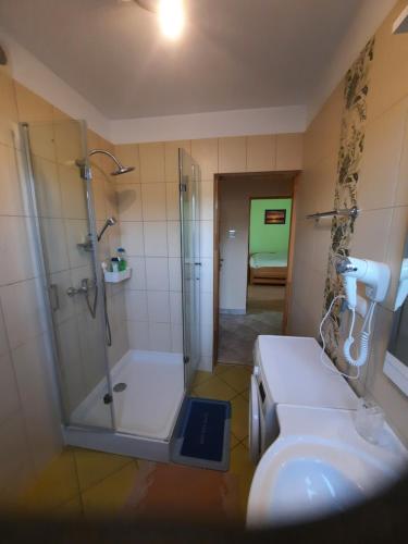 a bathroom with a shower and a sink and a toilet at Pokoje U Elizabeth in Augustów