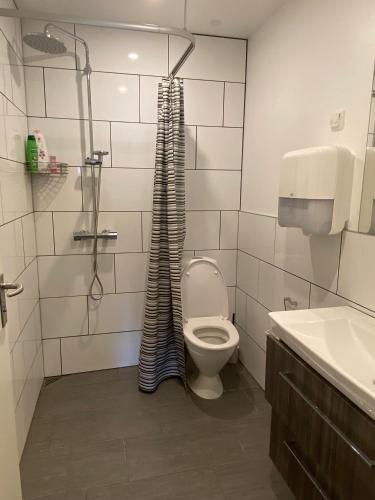 a bathroom with a toilet and a shower and a sink at Tvind B&B in Ulfborg