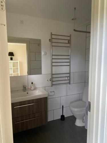 a bathroom with a sink and a toilet at Tvind B&B in Ulfborg
