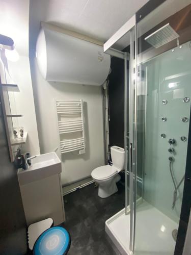 une salle de bain avec toilettes et douche en verre dans l'établissement Appartement Le SKICOSY à Guzet Neige, à Ustou