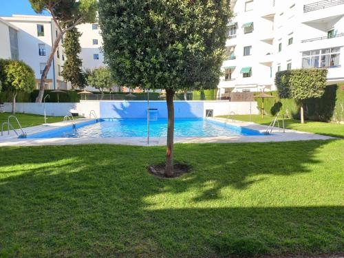 a tree in the grass next to a swimming pool at Vistahermosa-El ancla in El Puerto de Santa María