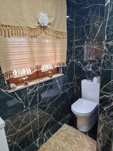 a bathroom with a toilet and a shower at Recanto da Serra - Alojamento Local in Lousã