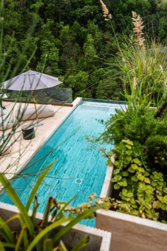 a blue swimming pool with an umbrella and plants at Tenuta Zamparina in Montignoso
