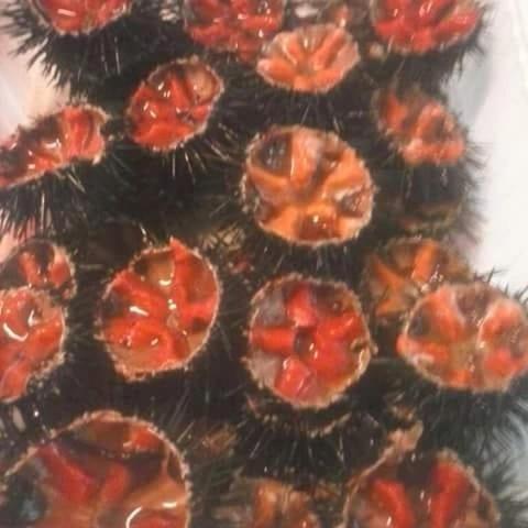 a close up of a pile of food on a plate at dimora del pescatore in Savelletri di Fasano