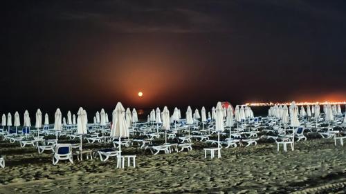 Naturlandskabet i nærheden af lejlighedshotellet