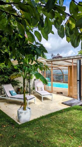 un arbre dans un pot à côté d'une piscine dans l'établissement maison philirina, à Athée-sur-Cher