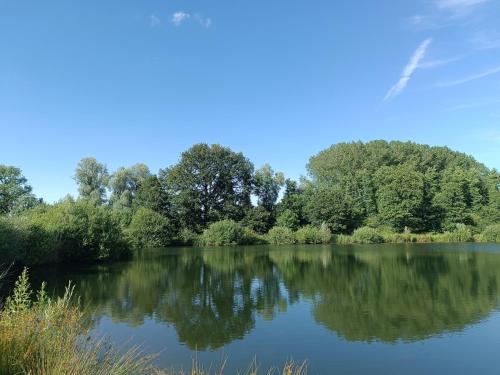 a view of a lake with trees in the background at domaine des étangs du bois de l'abbaye in Rejet-de-Beaulieu