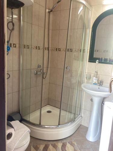 a bathroom with a shower and a toilet and a sink at Guest House Garden in Budva