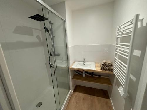 une salle de bain avec un lavabo et une douche en verre dans l'établissement L'Architecte, à Figeac