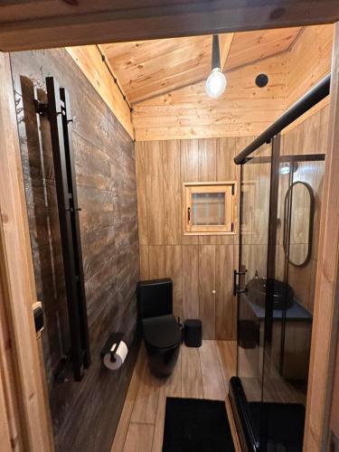 a bathroom with a shower and a toilet in it at Stary Las Siemczyno in Siemczyno
