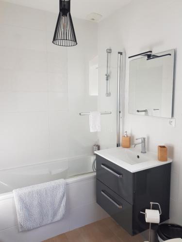 une salle de bain avec un lavabo, une baignoire et un miroir dans l'établissement L'échappée de Sologne -chez l'habitant-, à Lamotte-Beuvron