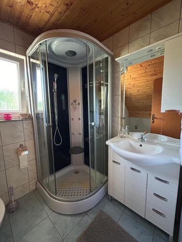 a bathroom with a shower and a sink at Apartman Majetić in Seliste Dreznicko