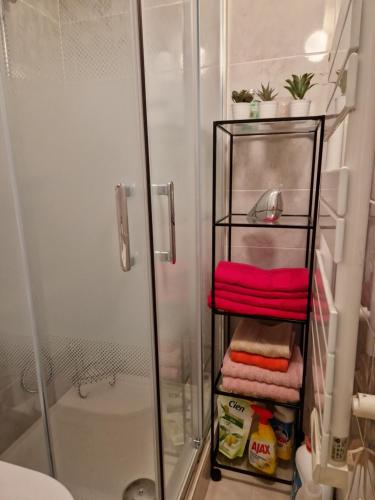 une salle de bain avec douche et un porte-serviettes dans l'établissement Paris Villette by metro 7, France Stadium, break moment studio, à Aubervilliers
