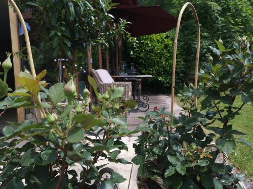 a garden with a table and chairs and plants at Landhaus Am Arzbach in Bad Tölz