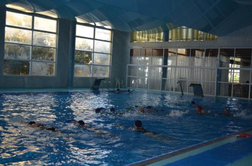 a group of people swimming in a swimming pool at D. Afonso Hotel & SPA in Monte Real