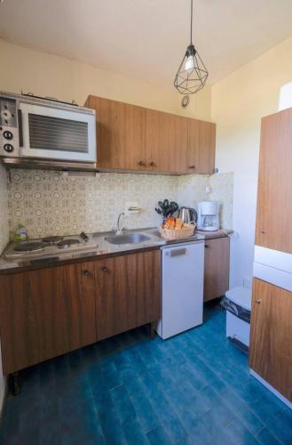 une cuisine avec un évier et un micro-ondes dans l'établissement Les Marguerites, à Enchastrayes