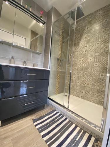 une salle de bain avec douche et lavabo dans l'établissement La Désirade, à Grenoble