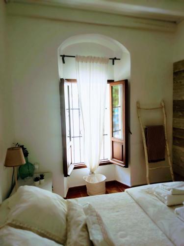 Carola GuestHouse
